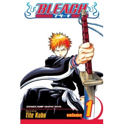Bleach – Vol. 1