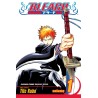 Bleach – Vol. 1